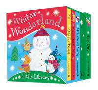 Winter Wonderland Little Library