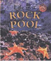 Life in a Rock Pool