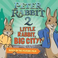 Little Rabbit, Big City!