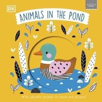 Animals in the Pond