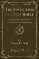 The Adventures of David Simple, Vol. 2