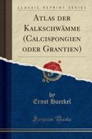 Atlas Der Kalkschwämme (Calcispongien Oder Grantien) (Classic Reprint)