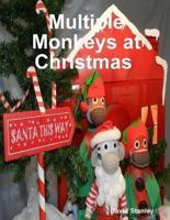 Multiple Monkeys at Christmas