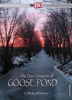 The Four Seasons of Goose Pond