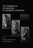 The Theoretical Foundation of Dendritic Function