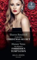 Cinderella's Christmas Secret