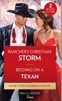 Rancher's Christmas Storm