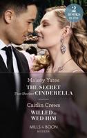 The Secret That Shocked Cinderella