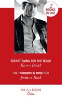 Secret Twins for the Texan