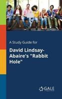 A Study Guide for David Lindsay-Abaire's "Rabbit Hole"