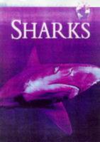 Reader's Digest Explores Sharks