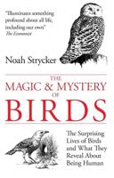 The Magic and Mystery of Birds