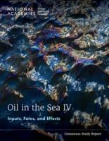 Oil in the Sea IV