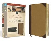 NIV, Cultural Backgrounds Study Bible, Imitation Leather