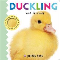 Duckling and Friends