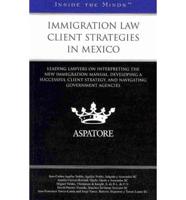 Immigration Law Client Strategies in Mexico