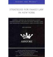 Strategies for Family Law in New York