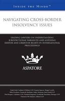 Navigating Cross-Border Insolvency Issues