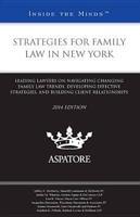 Strategies for Family Law in New York 2014