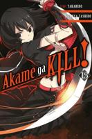 Akame Ga Kill!. 13