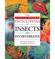 The Little Brown Encyclopedia of Insects and Invertebrates