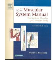 The Muscular System Manual and Kinesiology Enhanced Version Texts, Flashcard Sets + Coloring Book Package