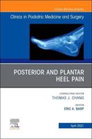 Posterior and Plantar Heel Pain