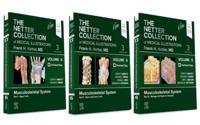 The Netter Collection of Medical Illustrations. Volume 6