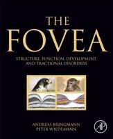 The Fovea