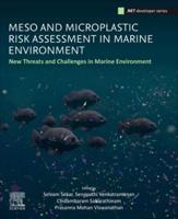 Meso and Microplastic Risk Assessment in Marine Environment