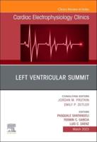 LV Summit EP Clinics