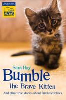 Bumble the Brave Kitten