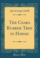 The Ceara Rubber Tree in Hawaii (Classic Reprint)