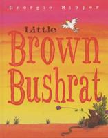 Little Brown Bushrat