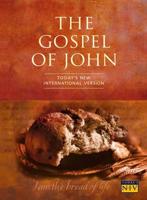 Today's NIV Gospel of John