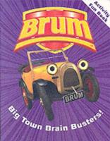 Brum Activity Book