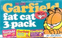 The Sixth Garfield Fat Cat 3-Pack