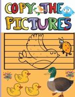 Copy the Pictures: Amazing Activity  Book for Kids   Copy the Picture for Boys and Girls   Great Coloring Gift Book for Birds Lovers