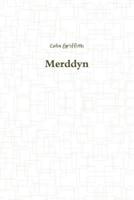 Merddyn