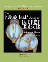 The Human Brain During the Early First Trimester