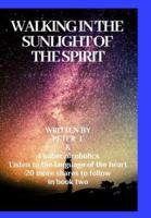 Walking in the sunlight of the spiritJourneys in sobriety