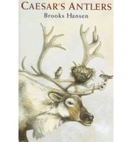 Caesar's Antlers