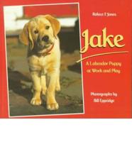 Jake: A Labrador Puppy at Work and Play