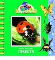 My First Book About Insects