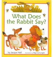 What Does the Rabbit Say?