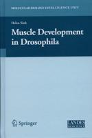 Muscle Development in Drosophila