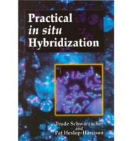 Practical in Situ Hybridization