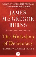 The Workshop of Democracy