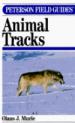 A Field Guide to Animal Tracks