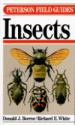 Field Guide to the Insects of America North of Mexico